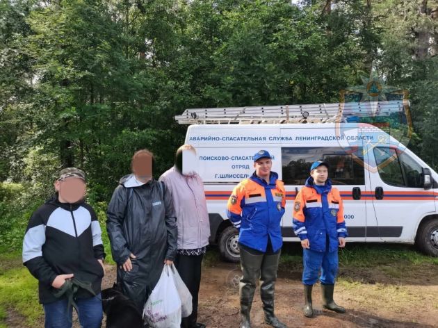 Трое человек блуждали по лесу во Всеволожском районе Ленобласти